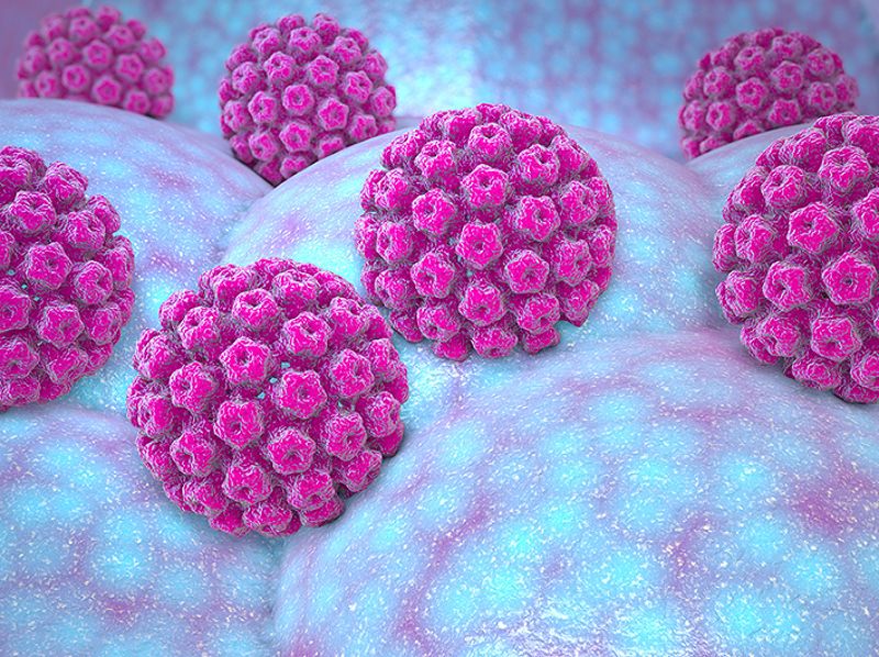 Cách đào thải virus HPV ra khỏi cơ thể triệt để 1