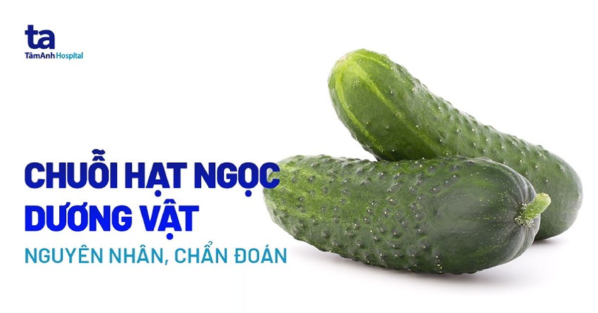 Chuỗi hạt ngọc dương vật